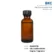 กลิ่น คอนยัค ฝรั่งเศส Cognac fragrance